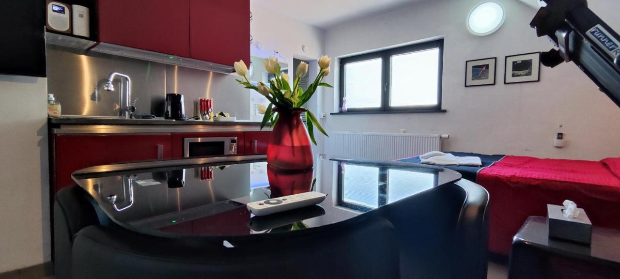 Logeerkamer Xxl 25 M2 Zemst Εξωτερικό φωτογραφία